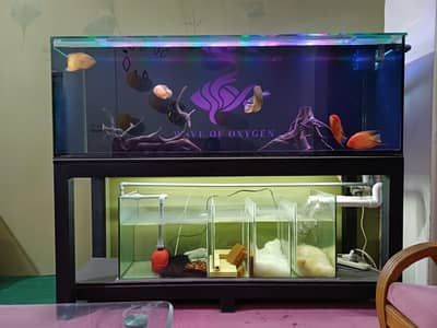 Aquarium