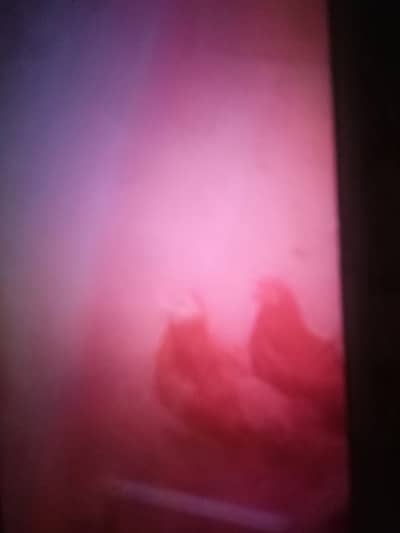 vedieo MIL gae GE is number MA rabta Karen :03131255240