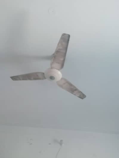 Used Fan