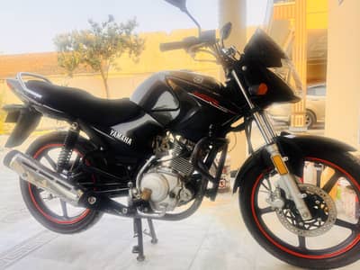 Yahama YBR Black 19 Model