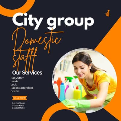 provide domestic staff driver,maids,cook, babysitter