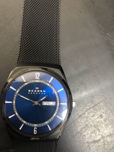 Skagen watch