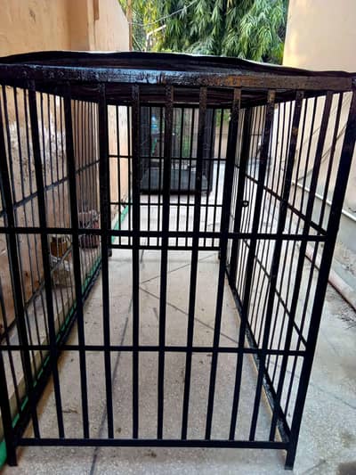 beautiful and heavy iron cage for dogs