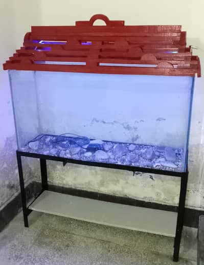 Aquarium for sale