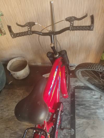 Safari Cycle for young teenagers