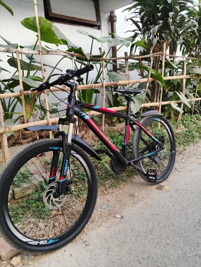Mountain and Road bicycle