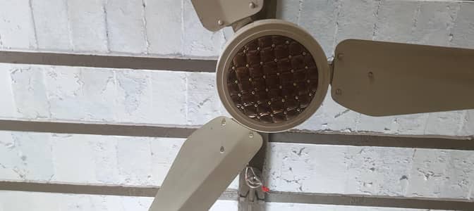 ciling Fan For Sale