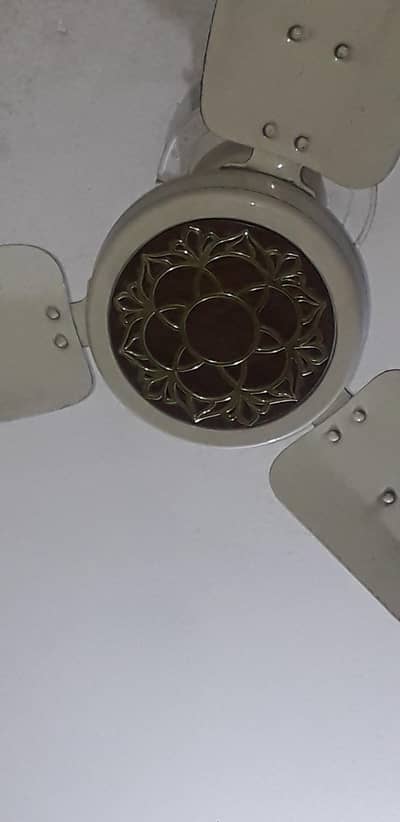 ROYAL FAN 10/10 Condition