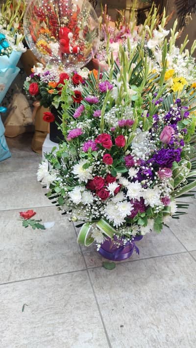 Experienced Driver Available ( 10 years Experience)