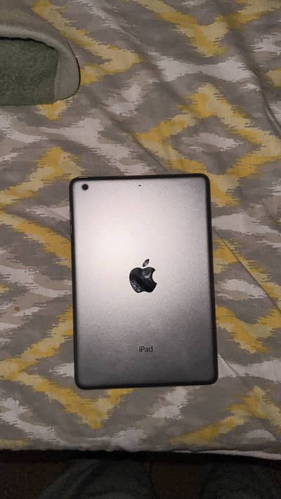 iPad mini 2