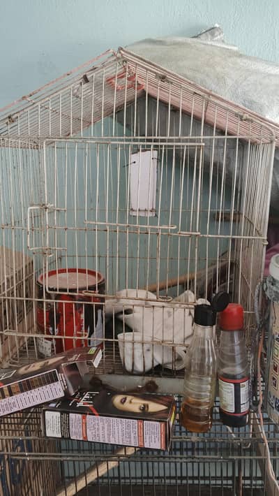 Birds Cages For Sale