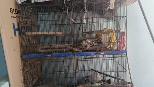 Birds Cages For Sale