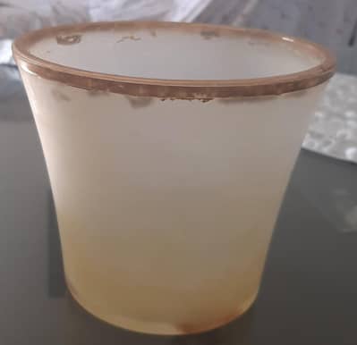 potted plants and vases