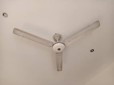 Pak fan 56' size 9.5/10 condition copper windin