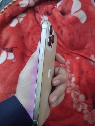 iphone 13 pro max JV