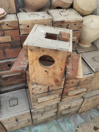 Keekar breeding boxes handiya handi lovebirds cocktail nest box