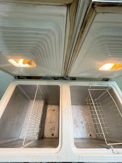 Waves Deep Freezer 03248468747