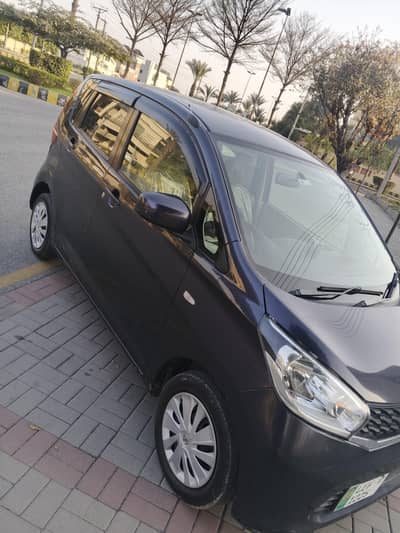 one piece touching Bucky Total genuine