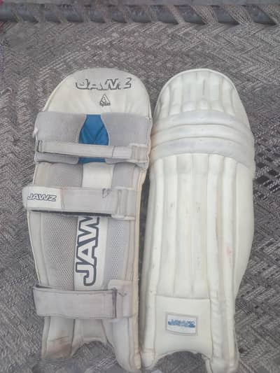 Hard Ball Pads and Thigh for Sale.    03261121887