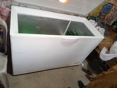 PEL large size single door deep freezer