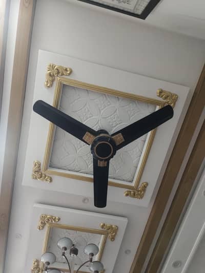 Royal fan company hai.