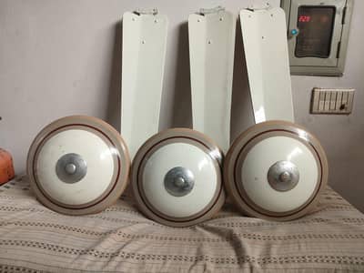Al Ahmad AC ceiling fans