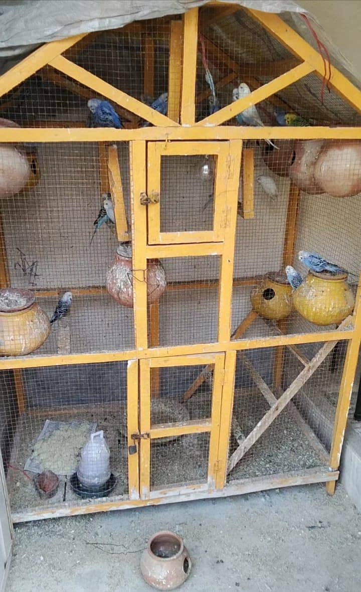 ماشاءاللہ سب جوڑے اکیٹو ہے 1