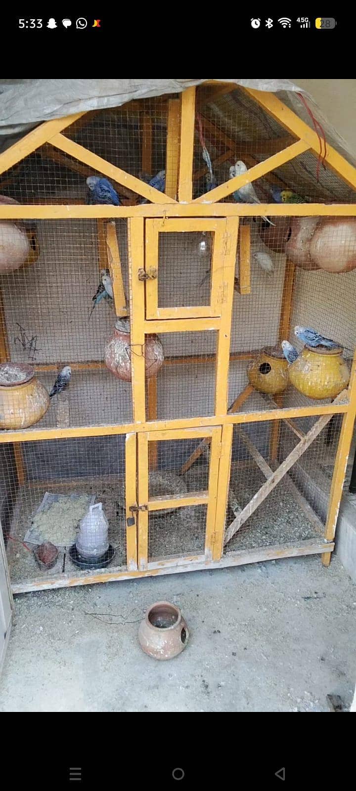 ماشاءاللہ سب جوڑے اکیٹو ہے 2