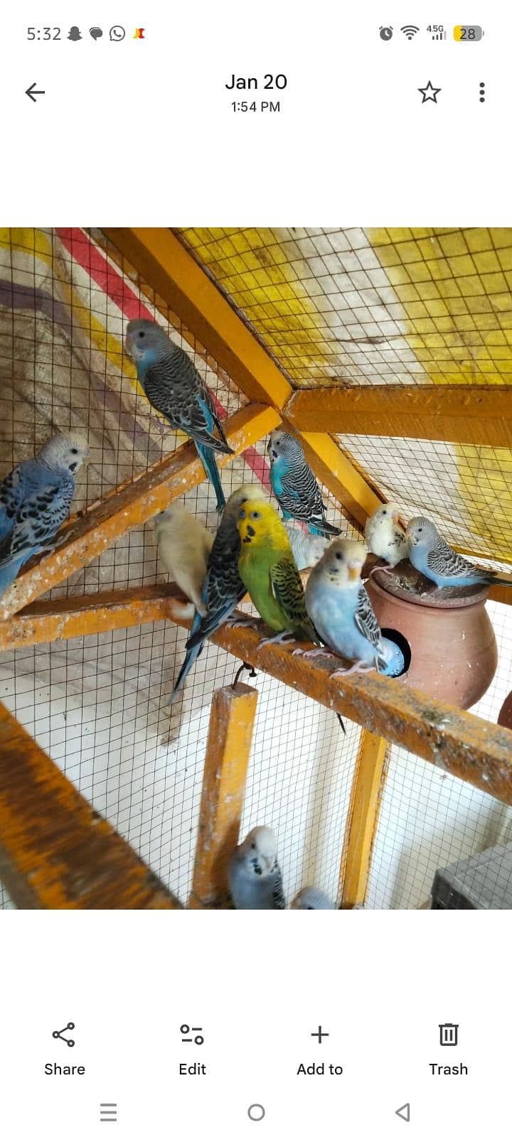 ماشاءاللہ سب جوڑے اکیٹو ہے 3