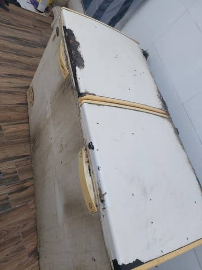 Waves  Freezar Dobule Door