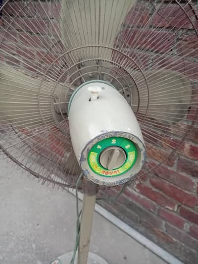 pedstal Fan