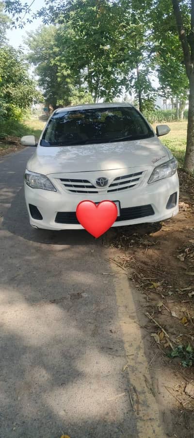 XLI 2014 LUSH CONDITION