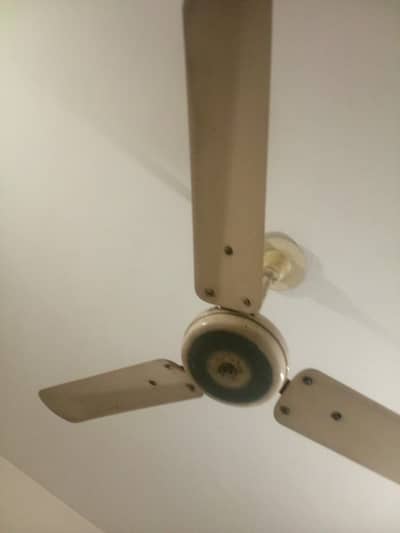 Ceiling Fan