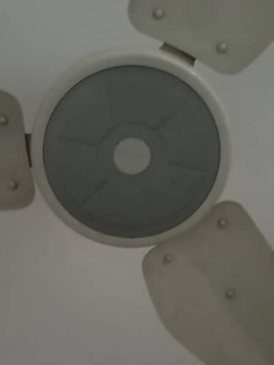 I have 8 Lahore fans full size pure cooper