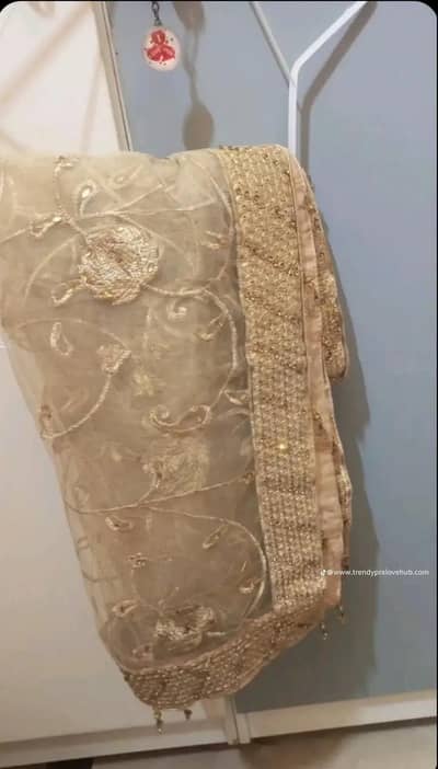 bridal sharara wedding sale