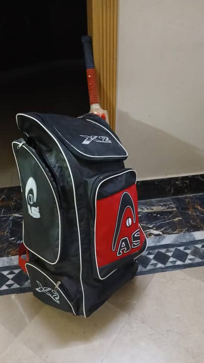 Complete Professional Hard ball Cricket Kit for sale