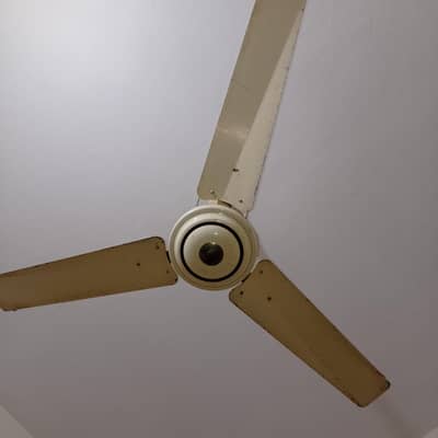 PEL Ceiling Fan