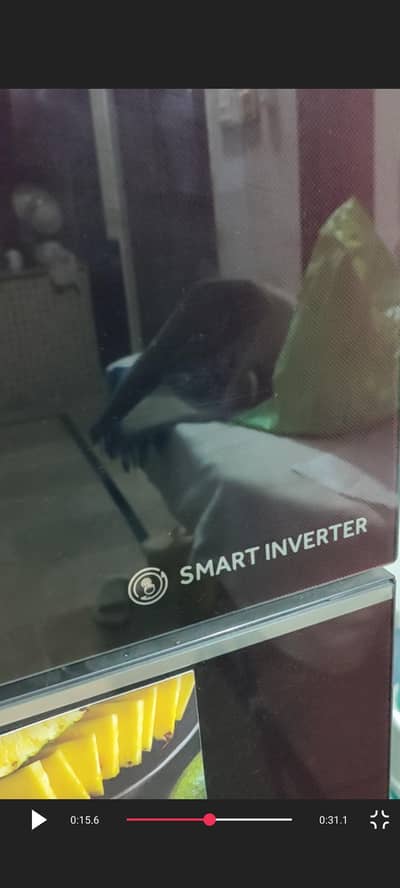 glass inverter fridge haire