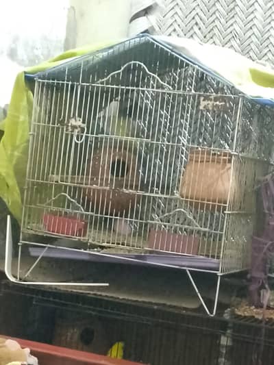 cage urgent Sale