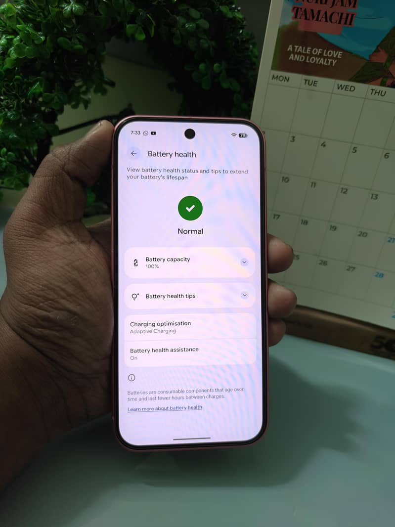 google pixel 9 approved 3