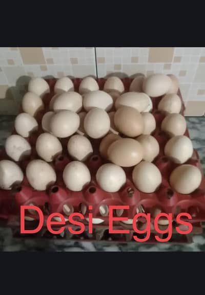 Desi eggs