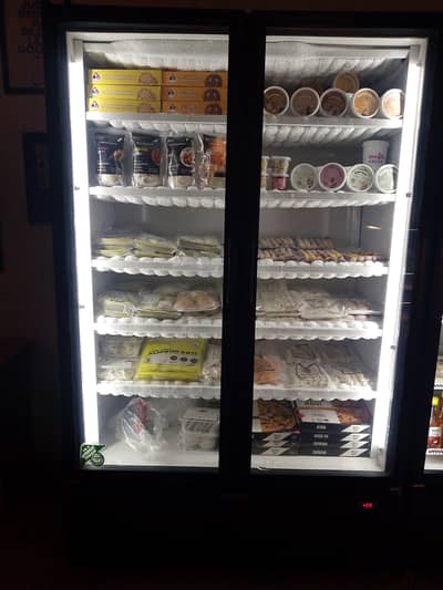 varioline freezer ppg-26F 1000 ltr