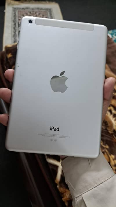 Ipad mini icloud locked