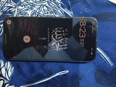 Google Pixel 9 Pro XL 160000