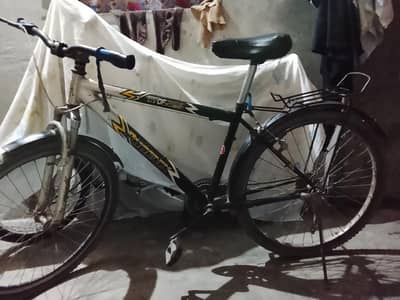 My Mountain Phoenix Cycle.