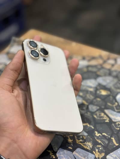 13 Pro Bypass 256 Gb