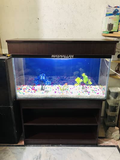 3fit fish aquarium