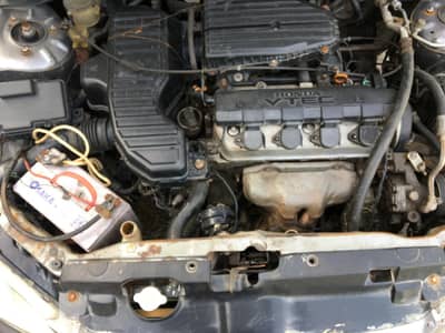 for sale bio nahi ha