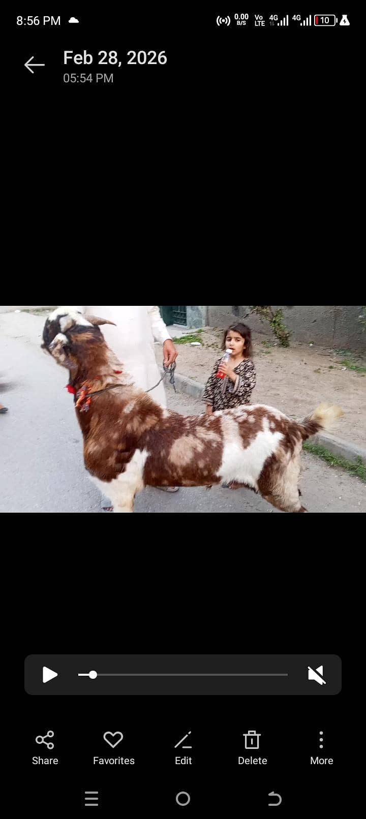 Desi Bakra 0