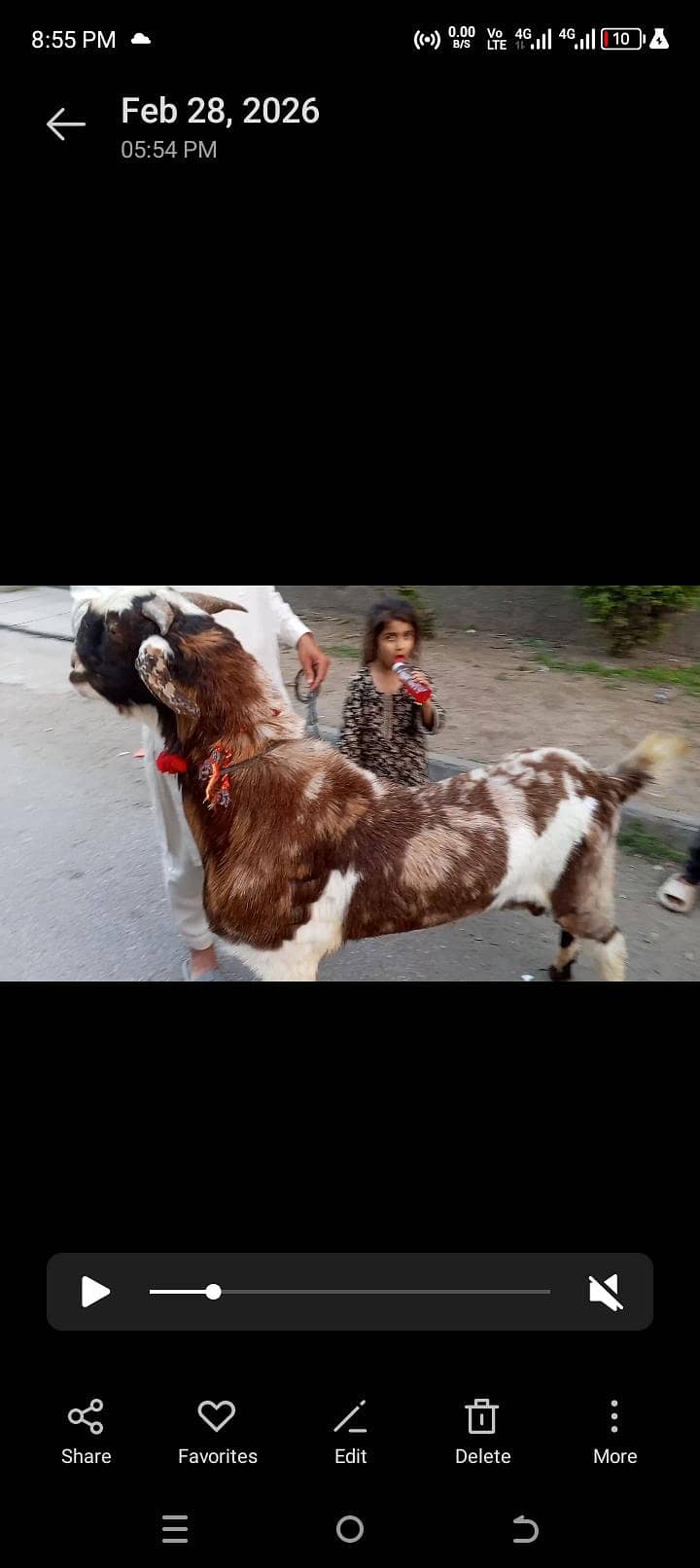 Desi Bakra 2